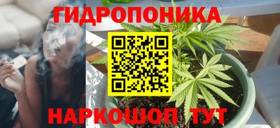 мдпв Донской
